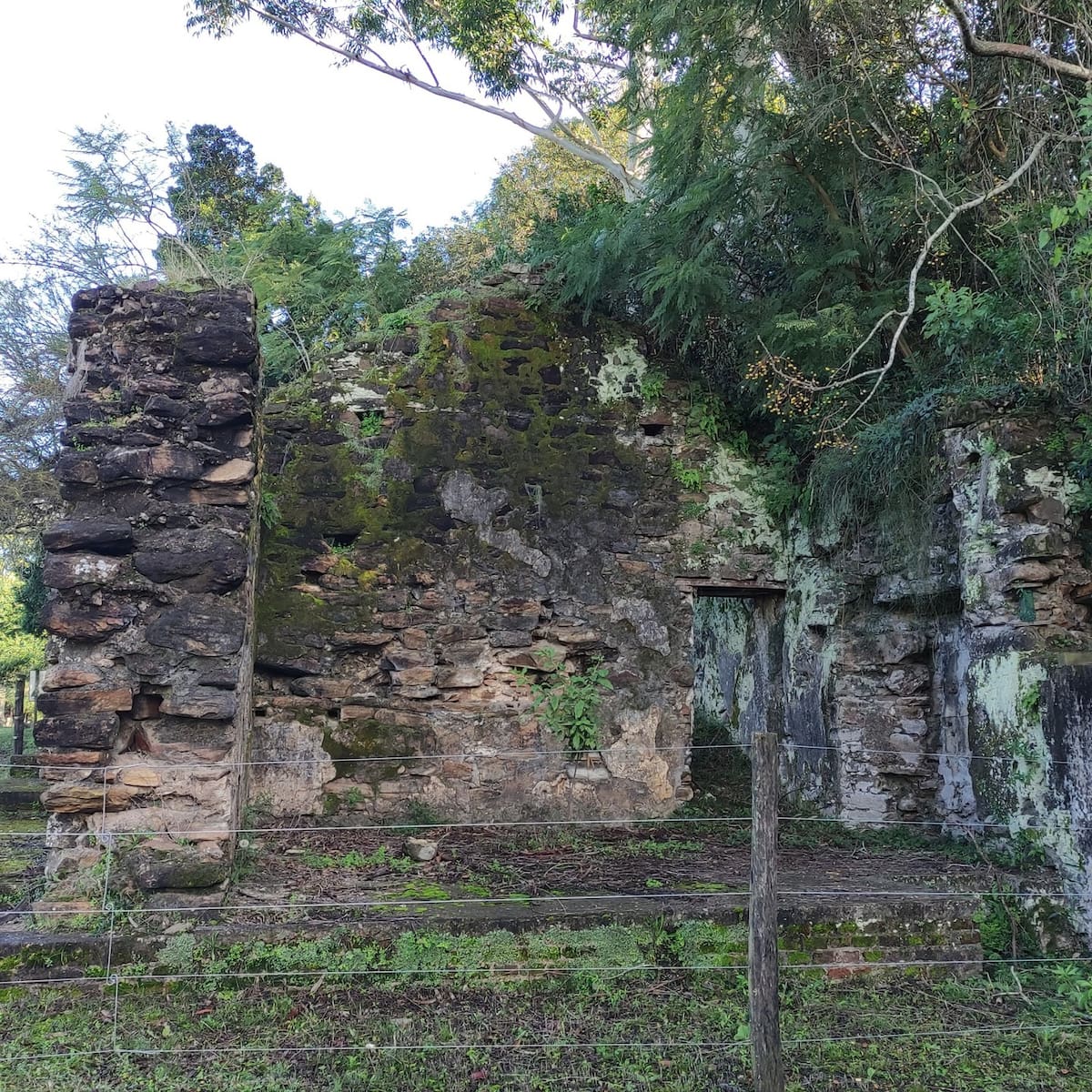 Parque nacional El Palmar