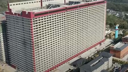 El edificio de 26 pisos que está destinado a criar cerdos. Foto: X.