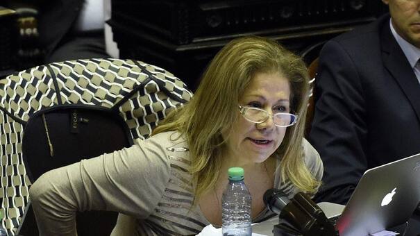 Graciela Camaño ante la Reforma Judicial sentenció : "No puede ser realizada sin consenso político amplio"