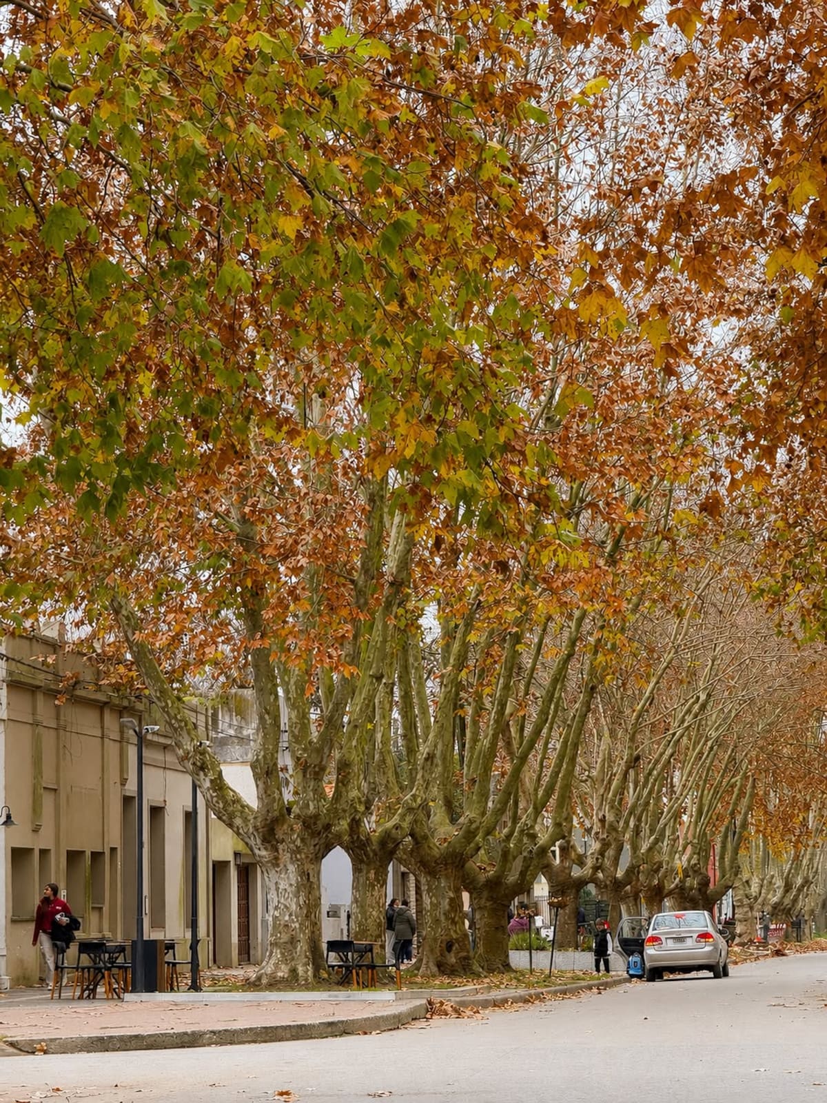 El destino tranquilo de Buenos Aires que parece detenido en el tiempo y es ideal para una escapada