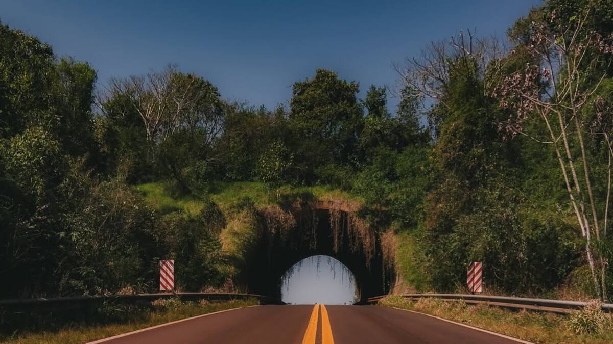 Ecoducto de la Ruta Nacional 101.