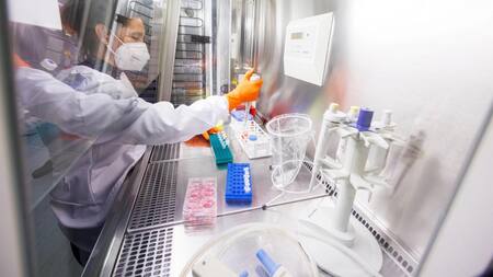 Virus Mpox en laboratorio. Foto: archivo, Reuters.