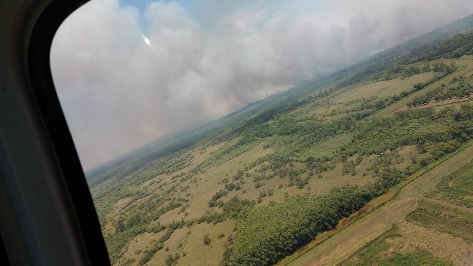 Brigadistas combaten incendios en el delta del Paraná