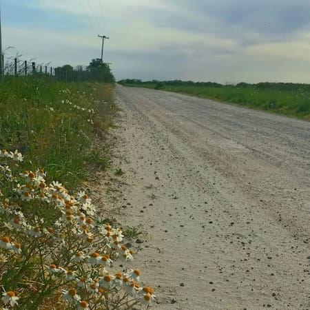 Hotel Pipinas Viva. Foto: Instagram/pipinasviva