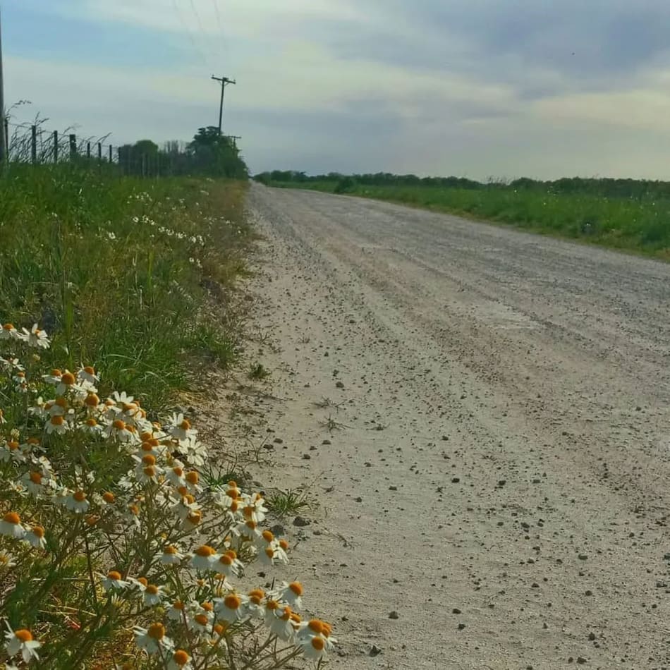 Hotel Pipinas Viva. Foto: Instagram/pipinasviva