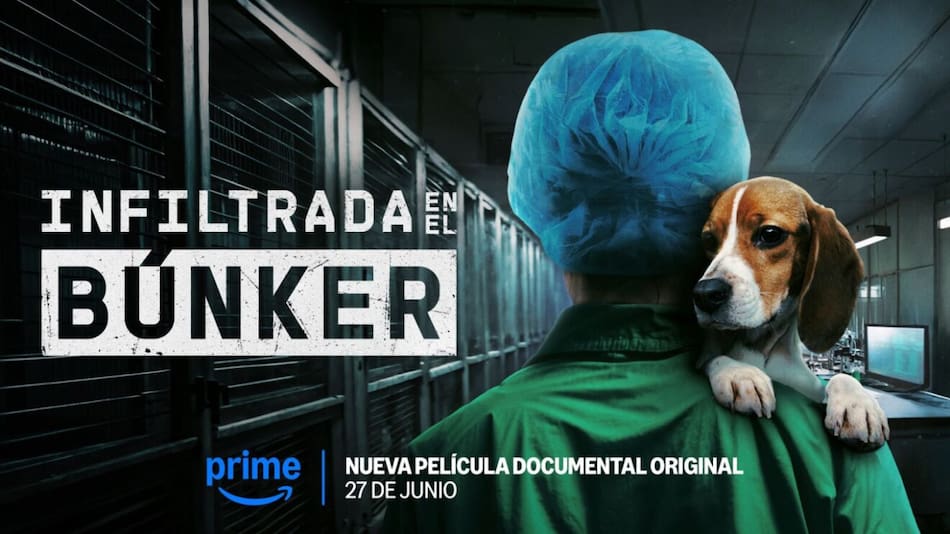 Infiltrada en el búnker. Foto: Prime Video.