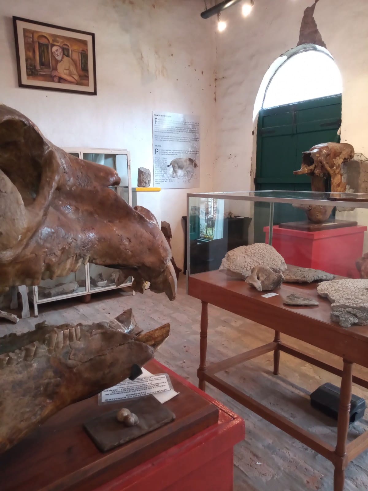Museo Ameghino en Luján