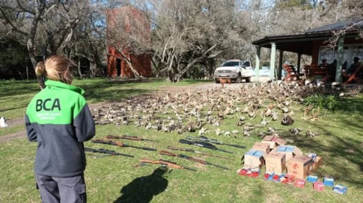El mega operativo contra una organización de caza ilegal en Argentina. Foto: Agencia Noticias Argentinas / PFA