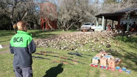 El mega operativo contra una organización de caza ilegal en Argentina. Foto: Agencia Noticias Argentinas / PFA