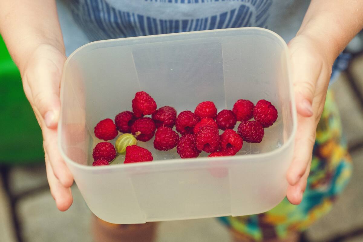 Salud, nutrición, alimentos saludable. Foto: Unsplash