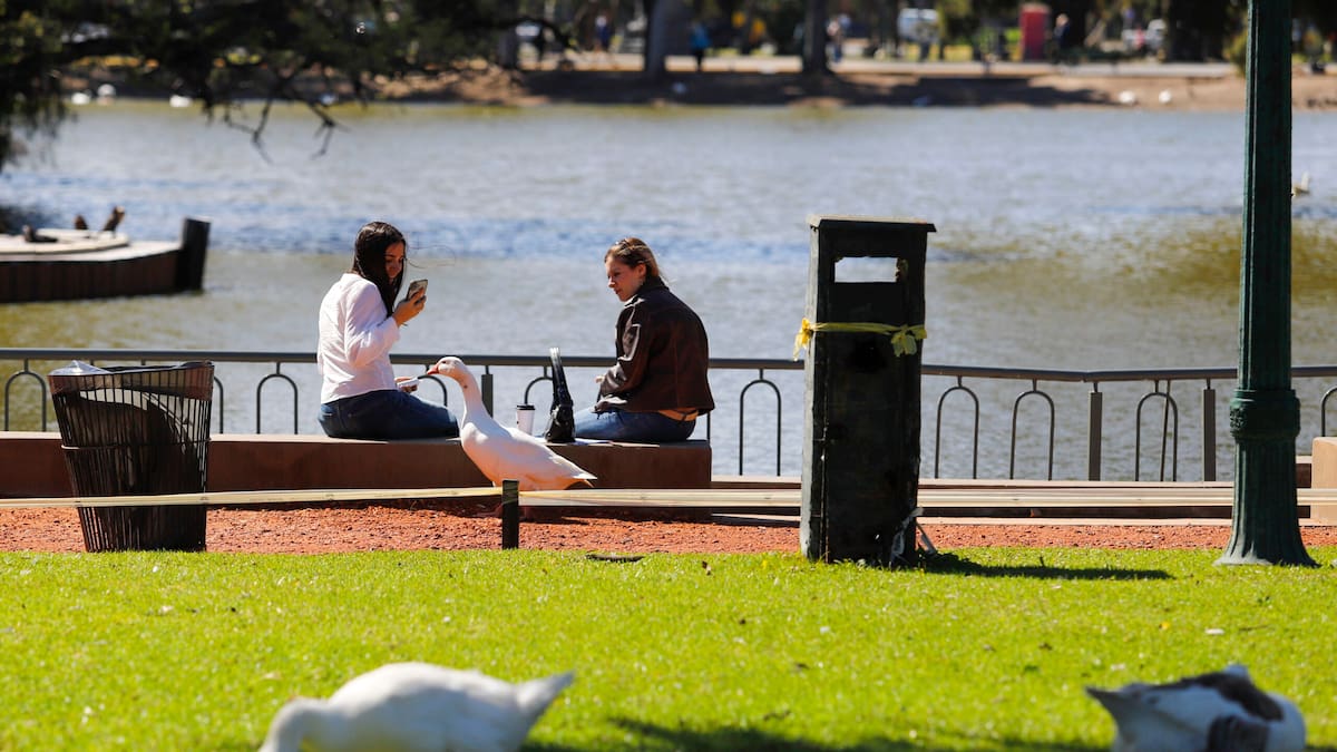 Los bosques de Palermo celebran la primavera este 21 de septiembre.