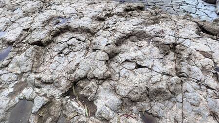 Huellas de dinosaurios en la playa Griega de Colunga. Foto de archivo: Alamy