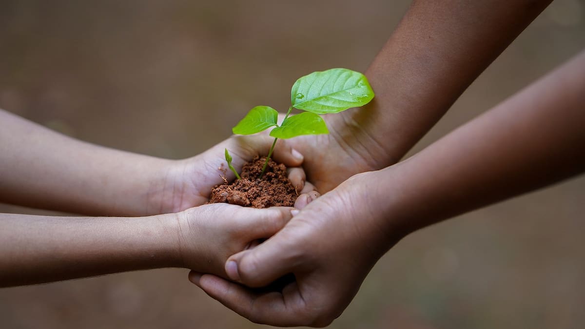 Día Mundial de la Educación Ambiental: pequeños hábitos cotidianos para "cambiar patrones y las formas de vivir"