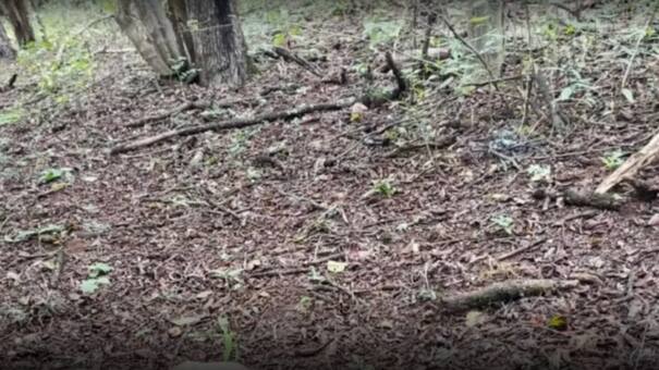 Macabro hallazgo en Salta: un granadero encontró restos humanos y sospechan que podrían ser de un hombre desaparecido