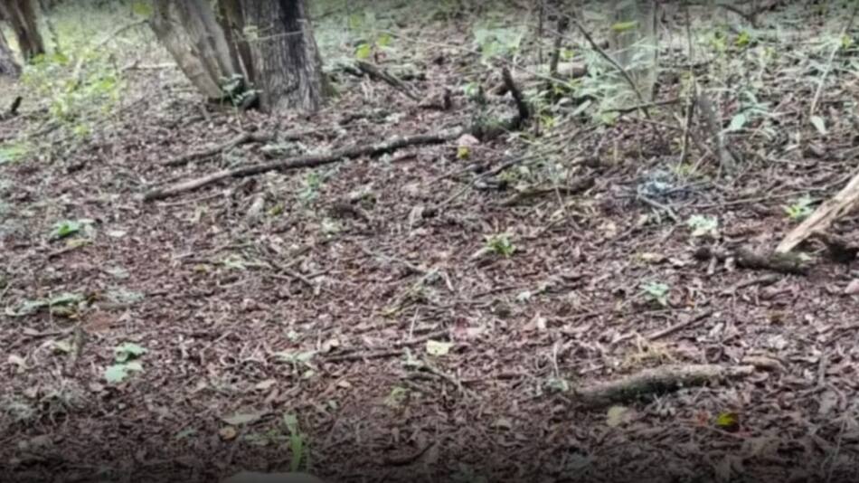 Encontraron restos humanos en Salta. Foto: gentileza Qué Pasa Salta.