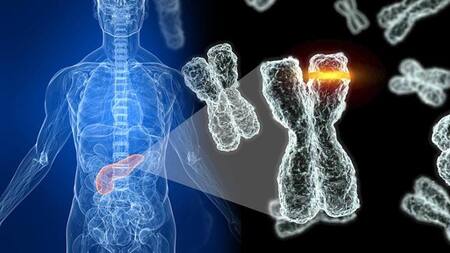 Salud - Telómeros - Nota
