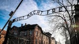 El mundo recuerda los 80 años de la liberación de Auschwitz