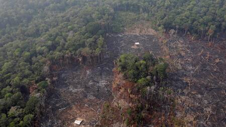 Incendio Amazonia, REUTERS