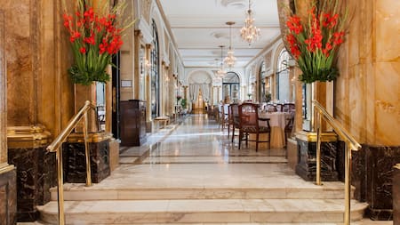 Alvear Palace Hotel.