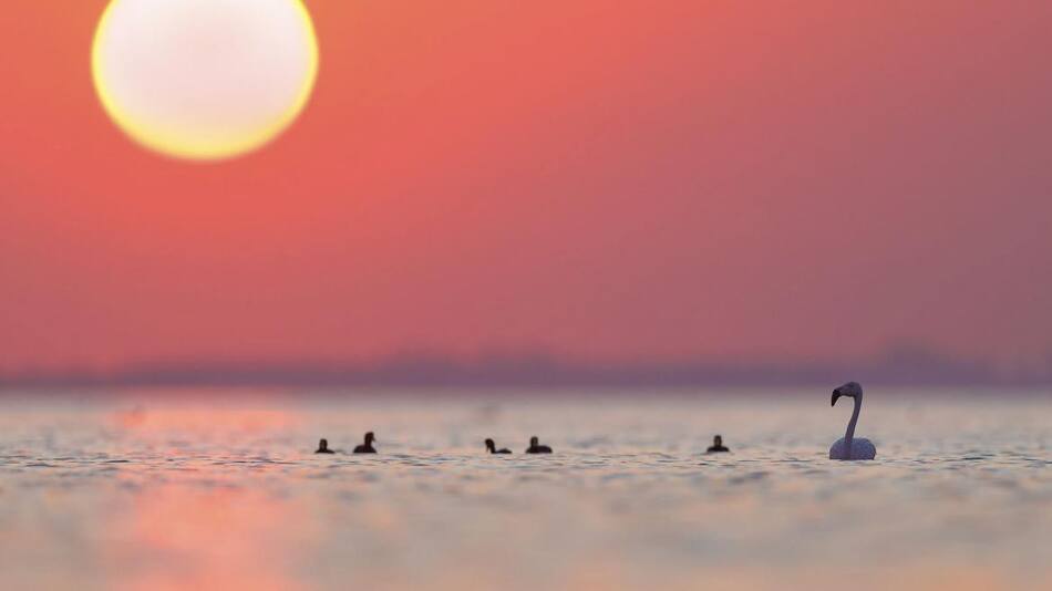 Parque Nacional Ansenuza Foto NA
