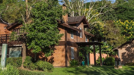 Los mejores árboles para el jardín de tu casa: destacan por su estética, no ensucian y dan mucha sombra