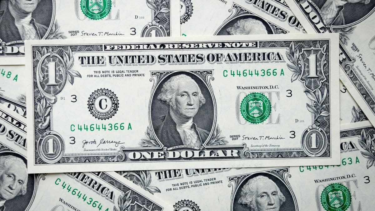 Dólar. Foto: Unsplash.