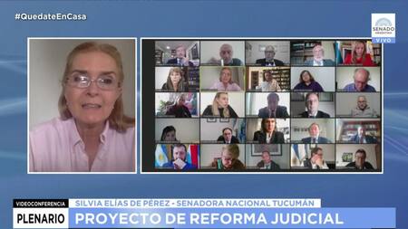 Debate Senado, sesión virtual, Reforma Judicial, Agencia NA