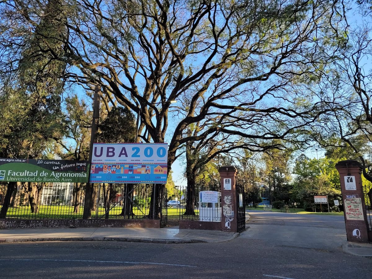 Avenida Constituyentes
