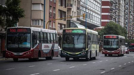 Colectivos en Mar del Plata