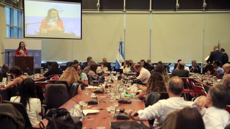 Debate sobre aborto - Congreso