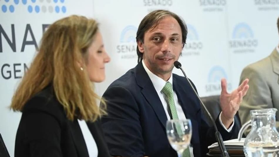 Santiago Castro Videla, Procurador del Tesoro