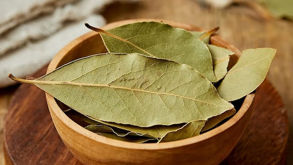 Hojas de laurel: su rol protagónico en el asado y su importancia en rituales de abundancia y limpiezas energéticas