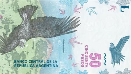 Nuevo billete de 50 pesos - Cóndor andino