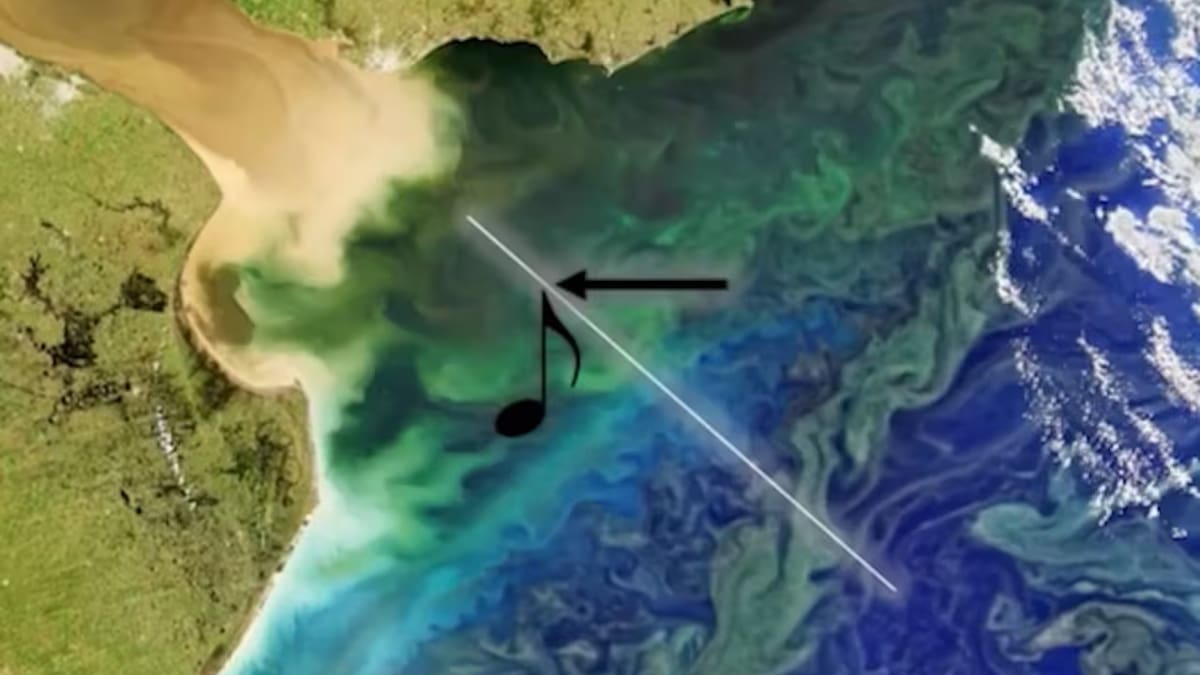 La NASA logró que se “escuche” una imagen satelital del Río de la Plata: la impresionante melodía