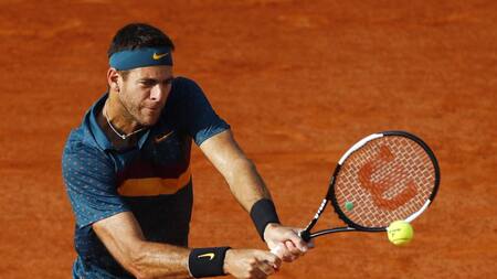 Juan Martín del Potro, Roland Garros, tenis, deportes, Reuters