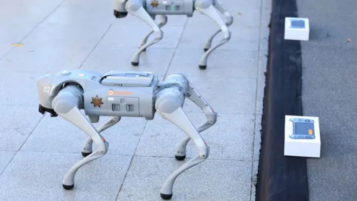 Perro robot en el Mundial 2026.