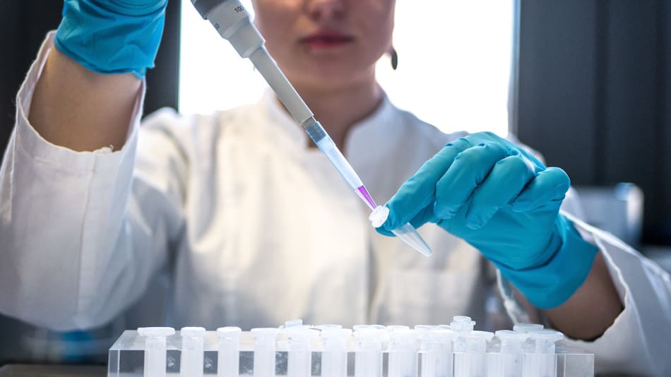 Investigación científica relaciona bacterias del cuerpo con el envejecimiento. Foto: Unsplash.