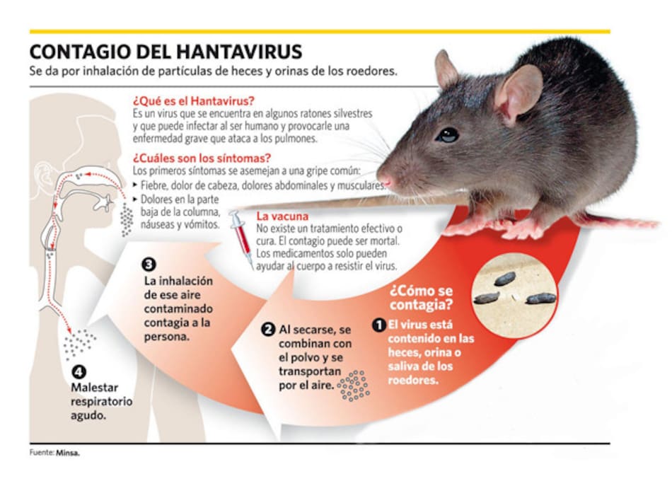 Hantavirus - infografía