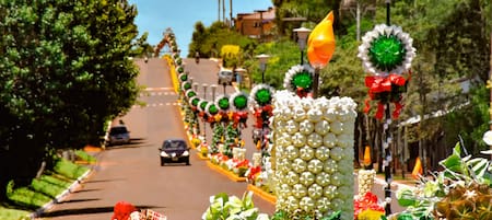 Capiovi, Misiones. Foto: https://www.capiovi.misiones.gov.ar/