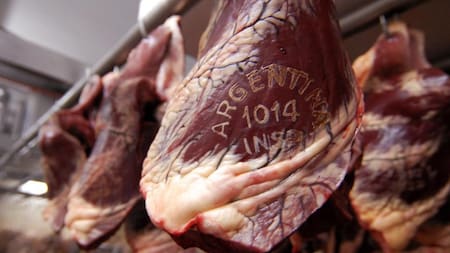 Carne, carne argentina, exportaciones, NA