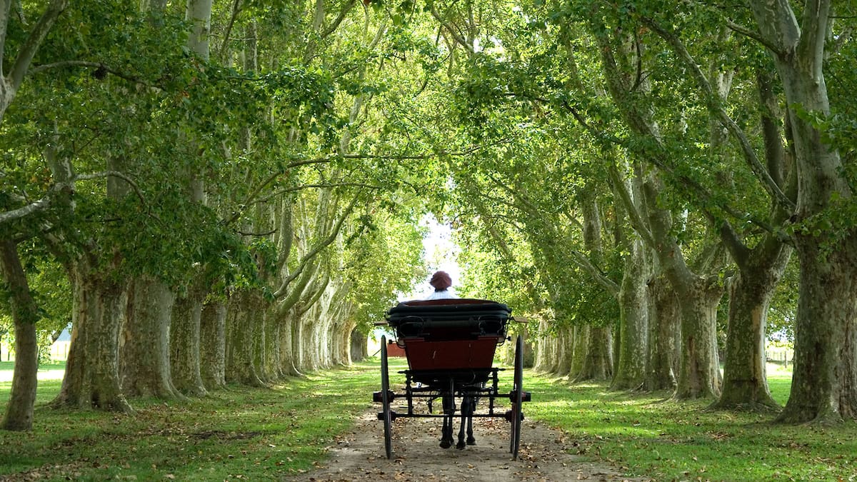 Estancia La Bamba de Areco.