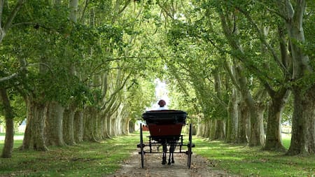 El hospedaje secreto de Liam Gallagher en Buenos Aires: la exótica estancia que eligió el cantante de Oasis