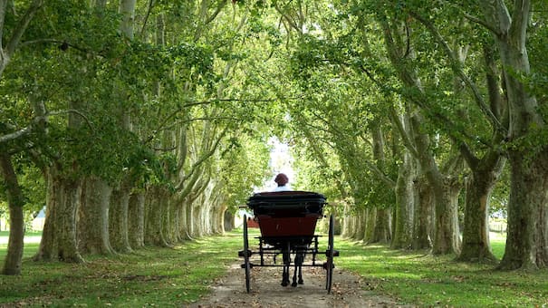 El hospedaje secreto de Liam Gallagher en Buenos Aires: la exótica estancia que eligió el cantante de Oasis