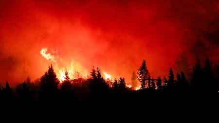 Incendios forestales en la Patagonia. Foto: EFE (Greenpeace)