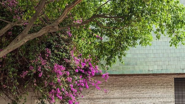 Un pasaje pintoresco, pero poco conocido en Buenos Aires: tiene más de 100 años y termina en una plaza escondida