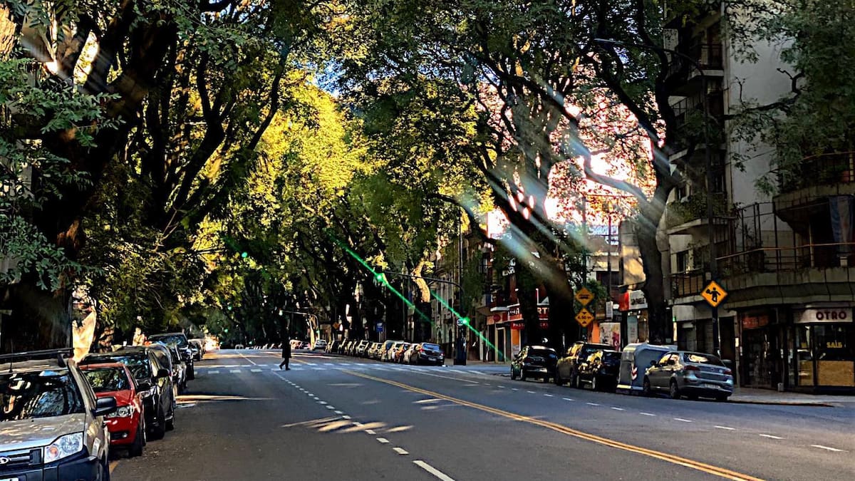 Avenida Pedro Goyena