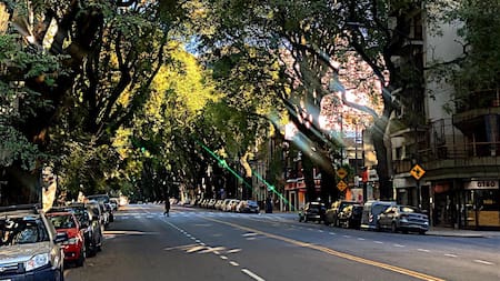 Arbolada y exclusiva: Pedro Goyena, la avenida más codiciada de Caballito y la historia detrás de su nombre