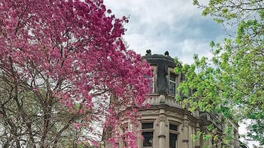 El barrio más patriota de CABA: sus calles están inspiradas en los héroes de la independencia