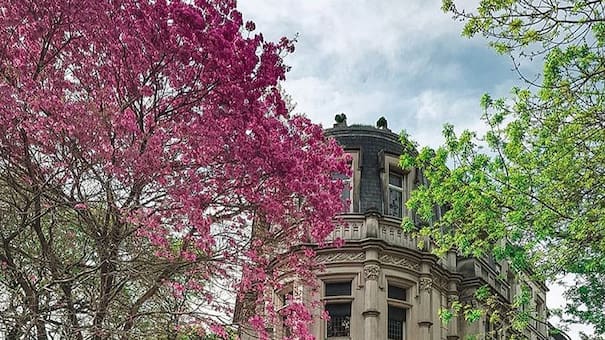 El barrio más patriota de CABA: sus calles están inspiradas en los héroes de la independencia