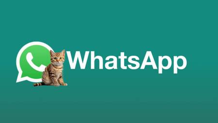 "Modo gato" en WhatsApp. Foto: Archivo.